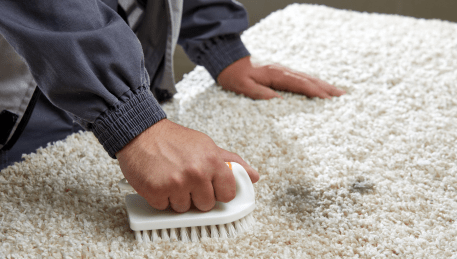 Professional Rug Cleaning Glenroy